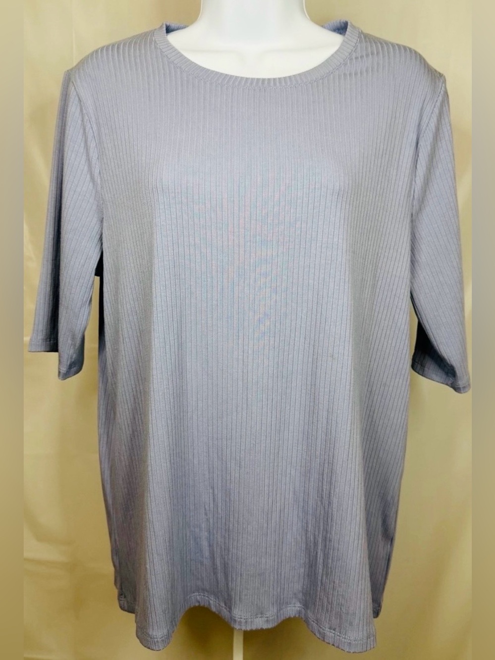 Splendid Periwinkle Ribbed Knit Crew Neck Tee XXL Soft Stretch NWOT